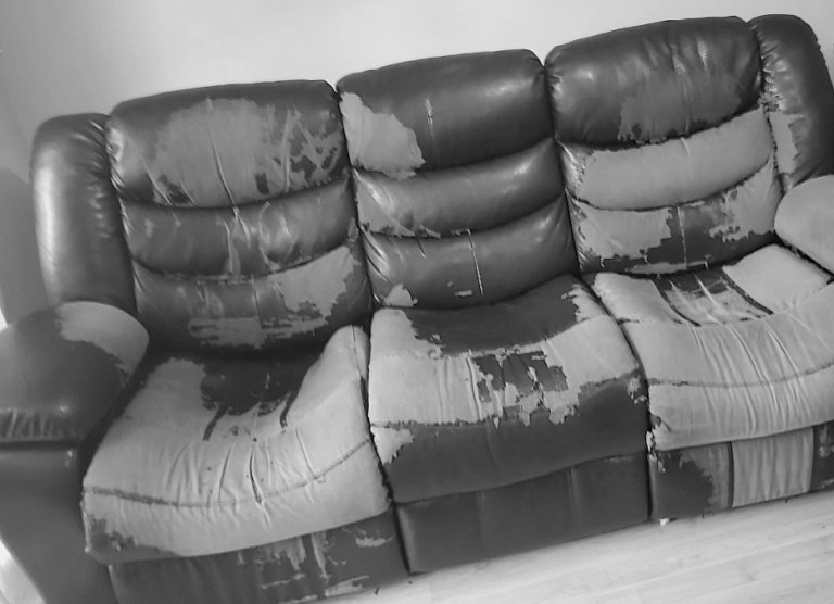 Domestic ARC Waste Removal Domestic ARC Waste Removal